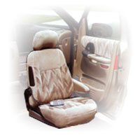 DW Auto has specialized adaptive products to accommodate your needs